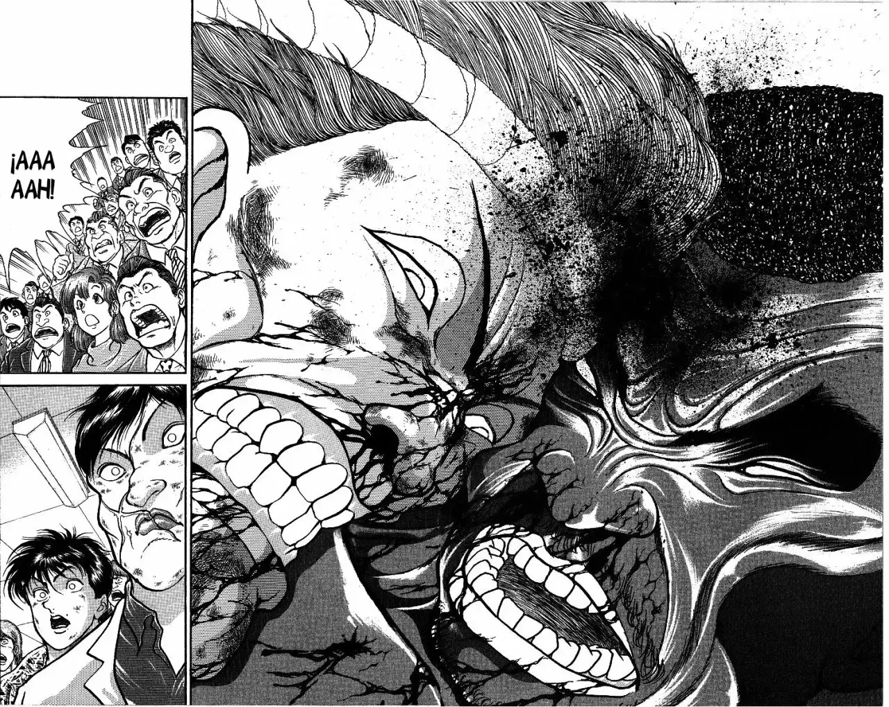 Grappler Baki capítulo 251, página 13