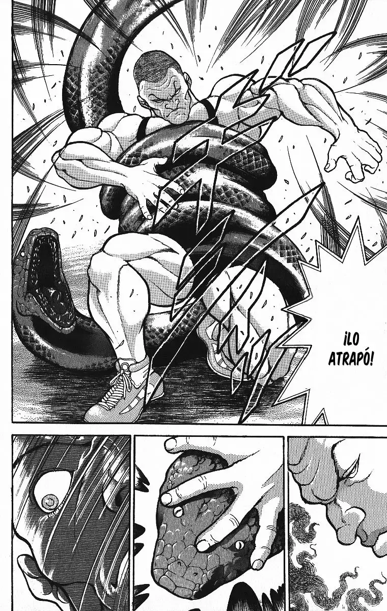 Grappler Baki capítulo 296, página 17