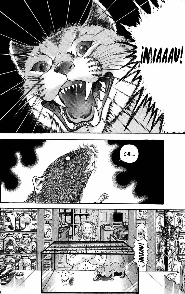 Grappler Baki capítulo 301, página 2