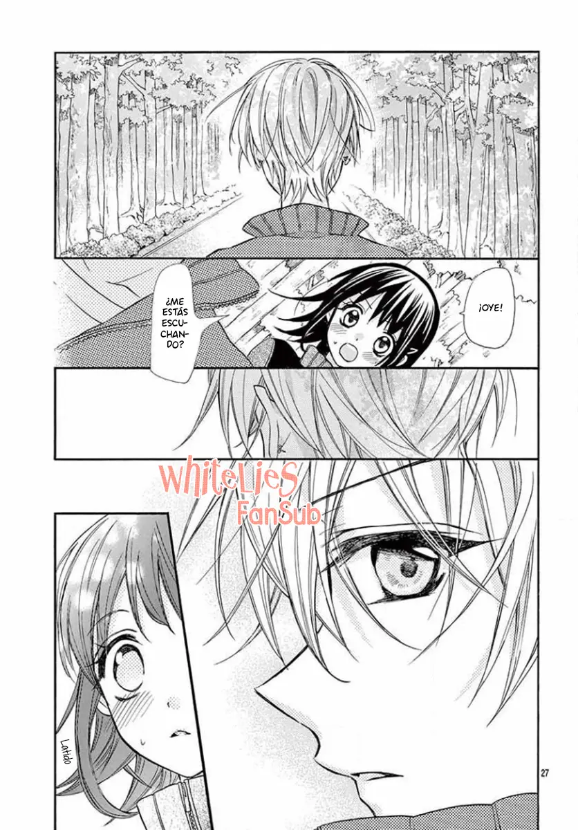Hatsukoi Dance! capítulo 8, página 29