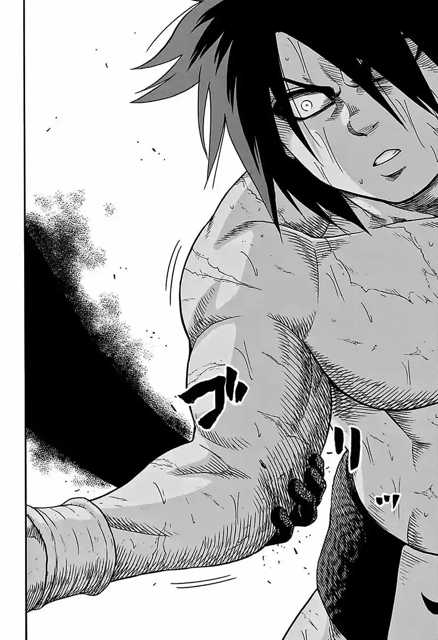 Hinomaru Sumo capítulo 64, página 16