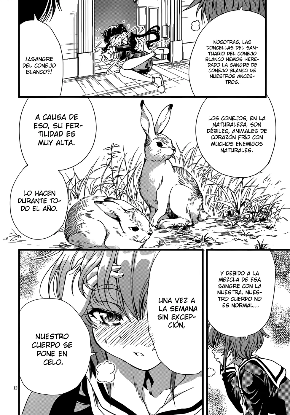 Inaba Rabbits capítulo 5, página 15