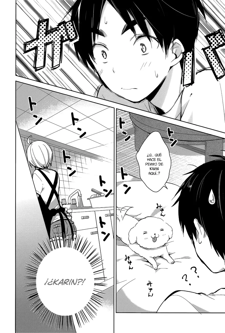 Itoshi no Karin capítulo 13, página 5