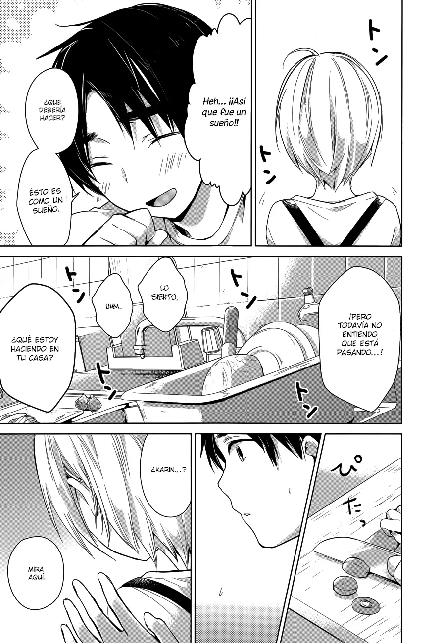 Itoshi no Karin capítulo 13, página 8
