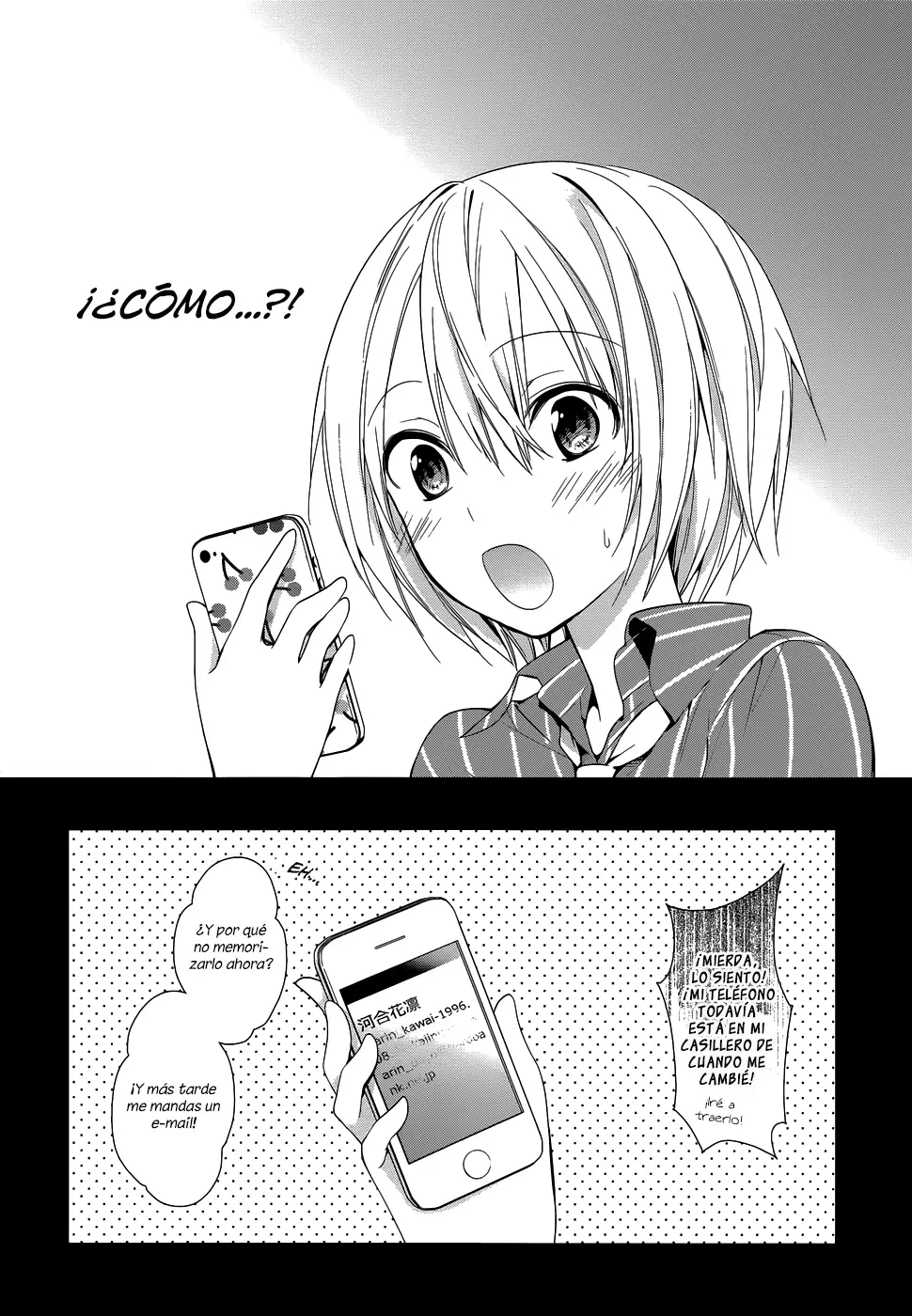 Itoshi no Karin capítulo 4, página 17