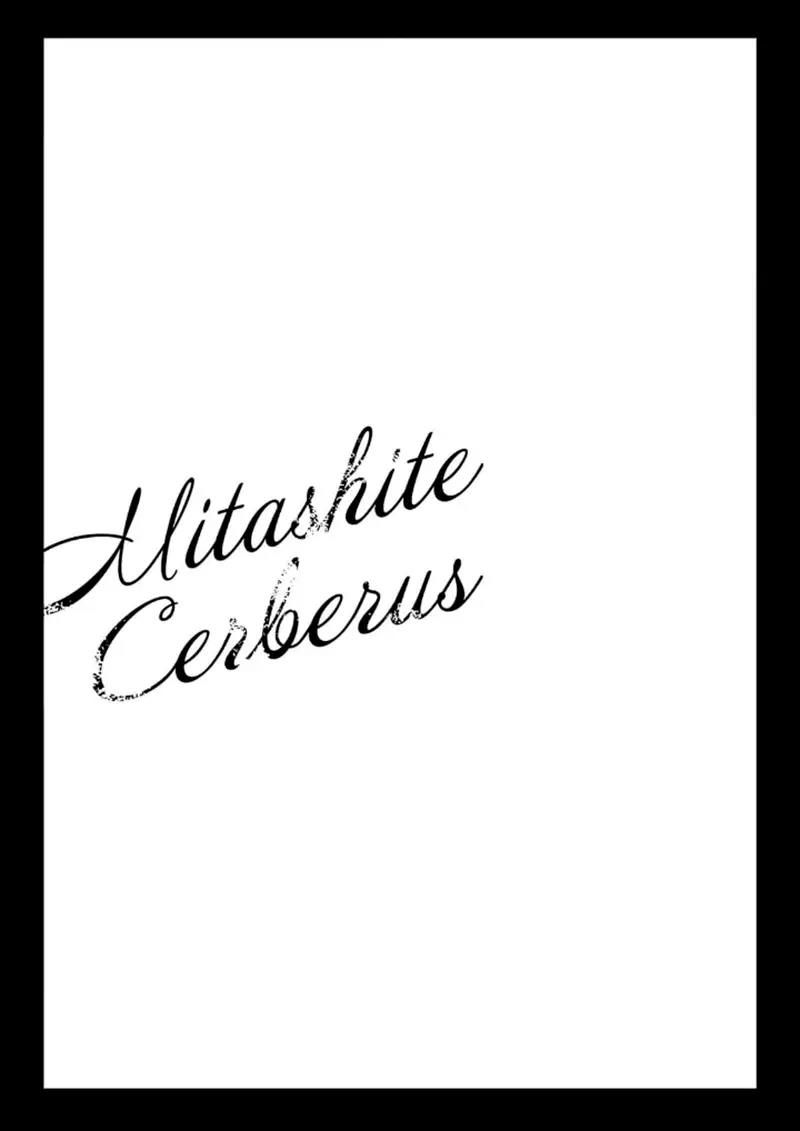 Mitashite Cerberus capítulo 1, página 45