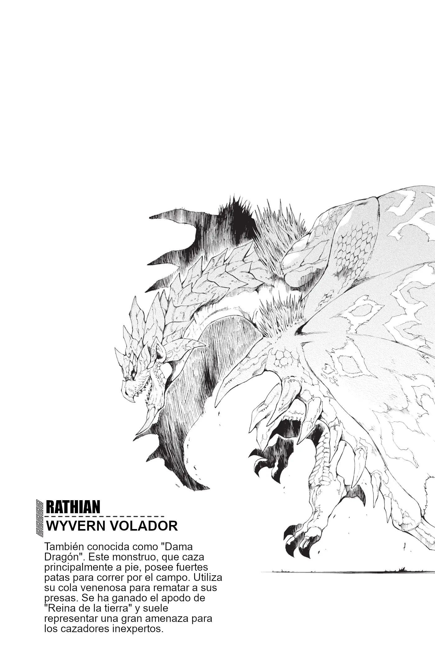 Monster Hunter: Flash Hunter capítulo 6, página 23