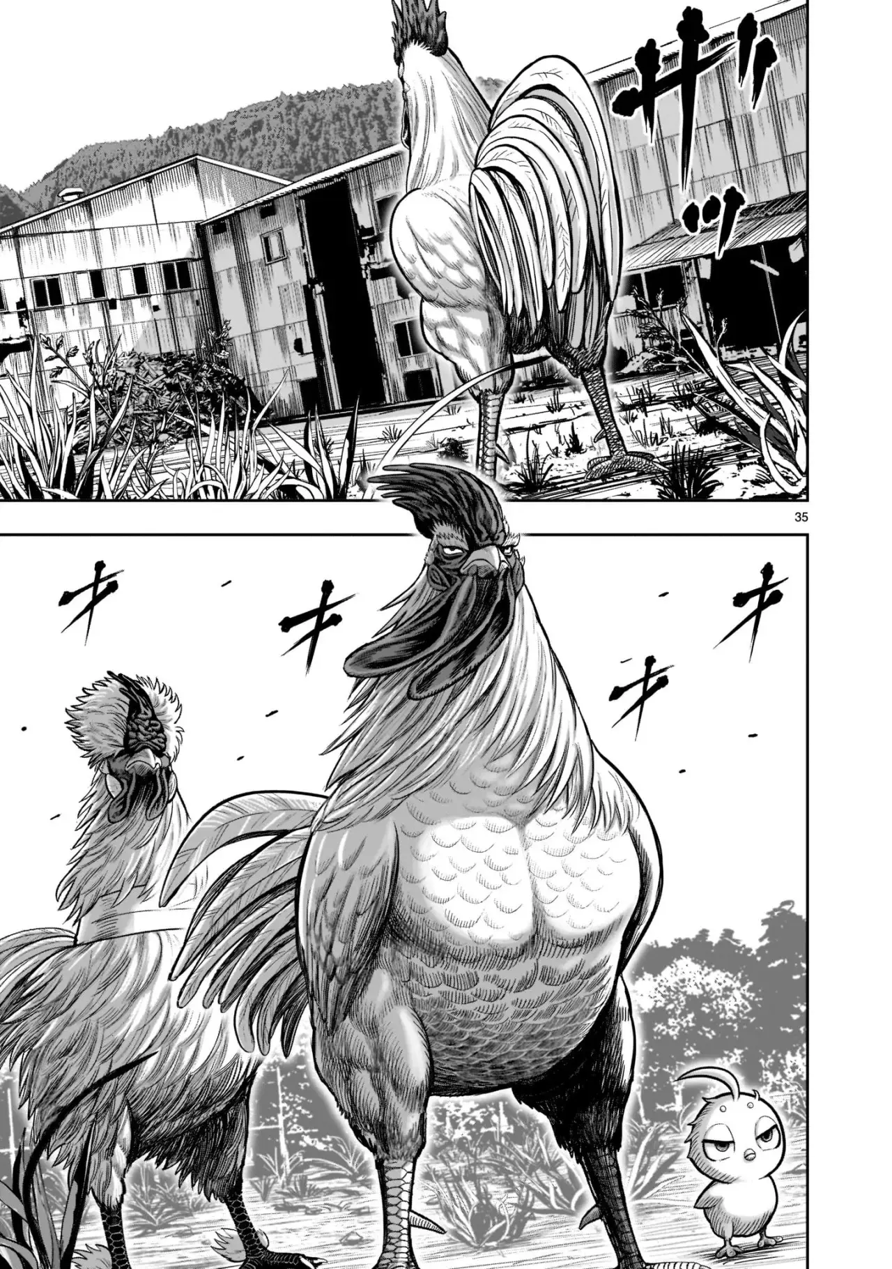 Niwatori Fighter capítulo 21, página 36