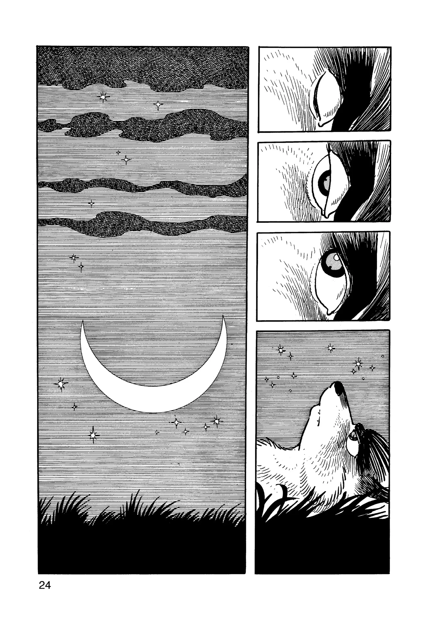 Phoenix capítulo 12.1, página 25