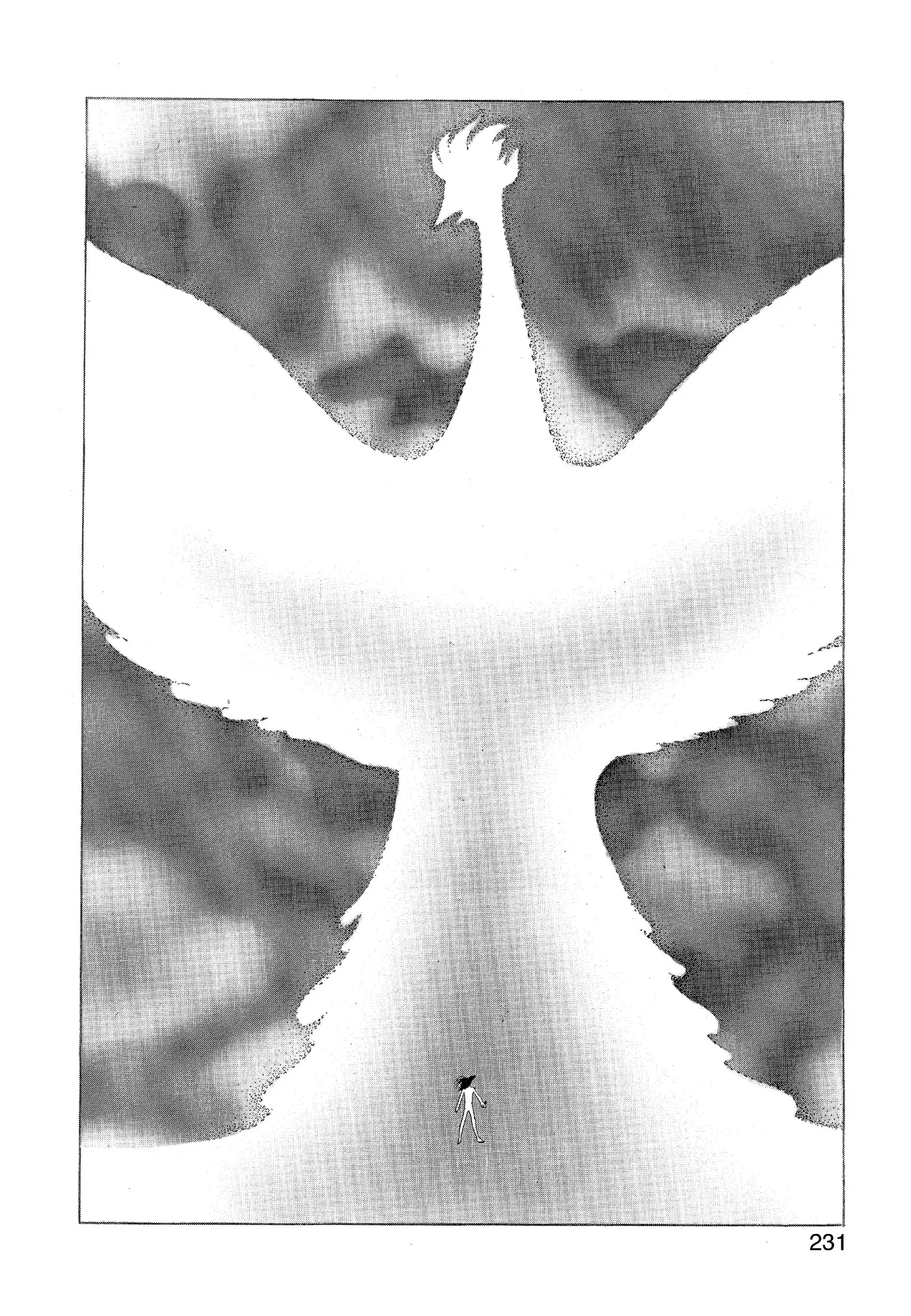 Phoenix capítulo 9.2, página 229