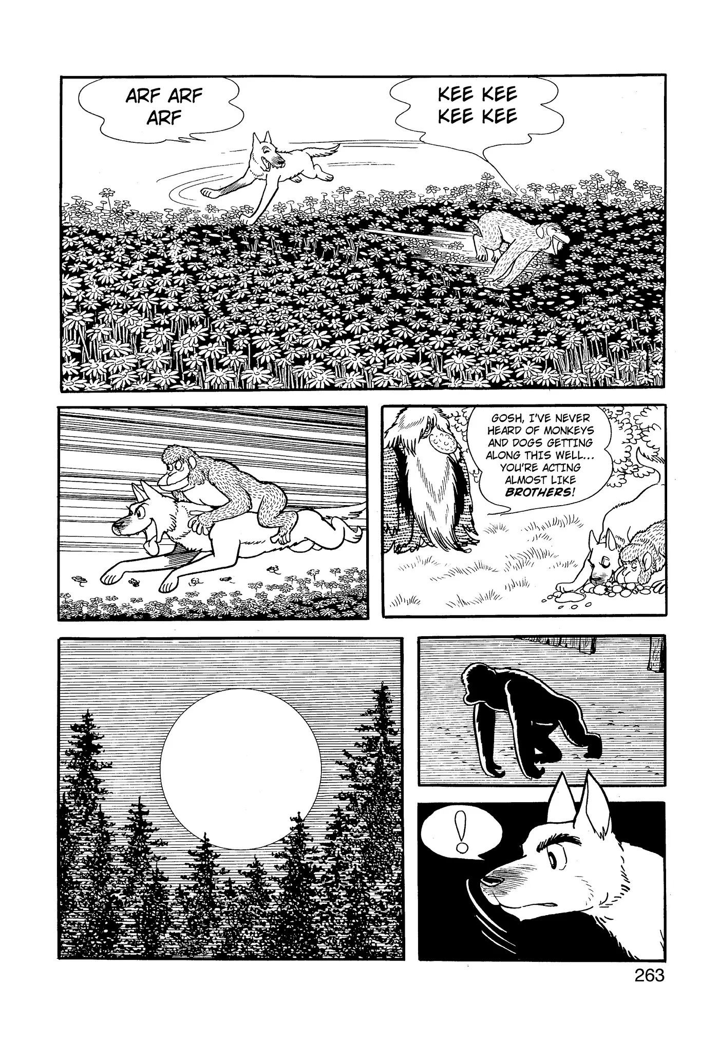 Phoenix capítulo 9.2, página 260