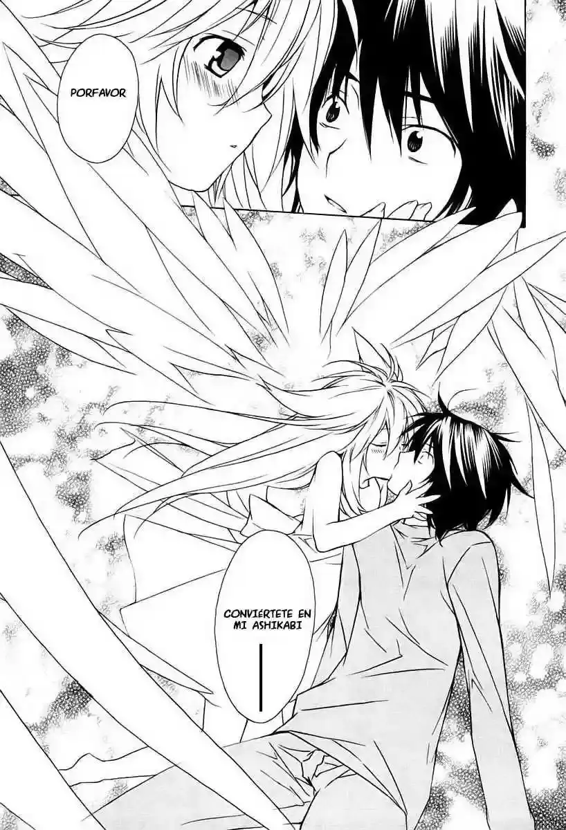 Sekirei capítulo 10, página 19