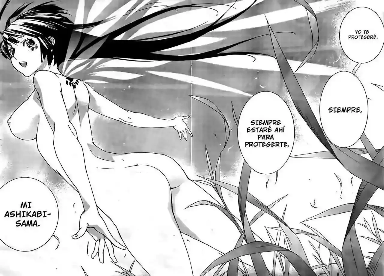 Sekirei capítulo 112, página 14
