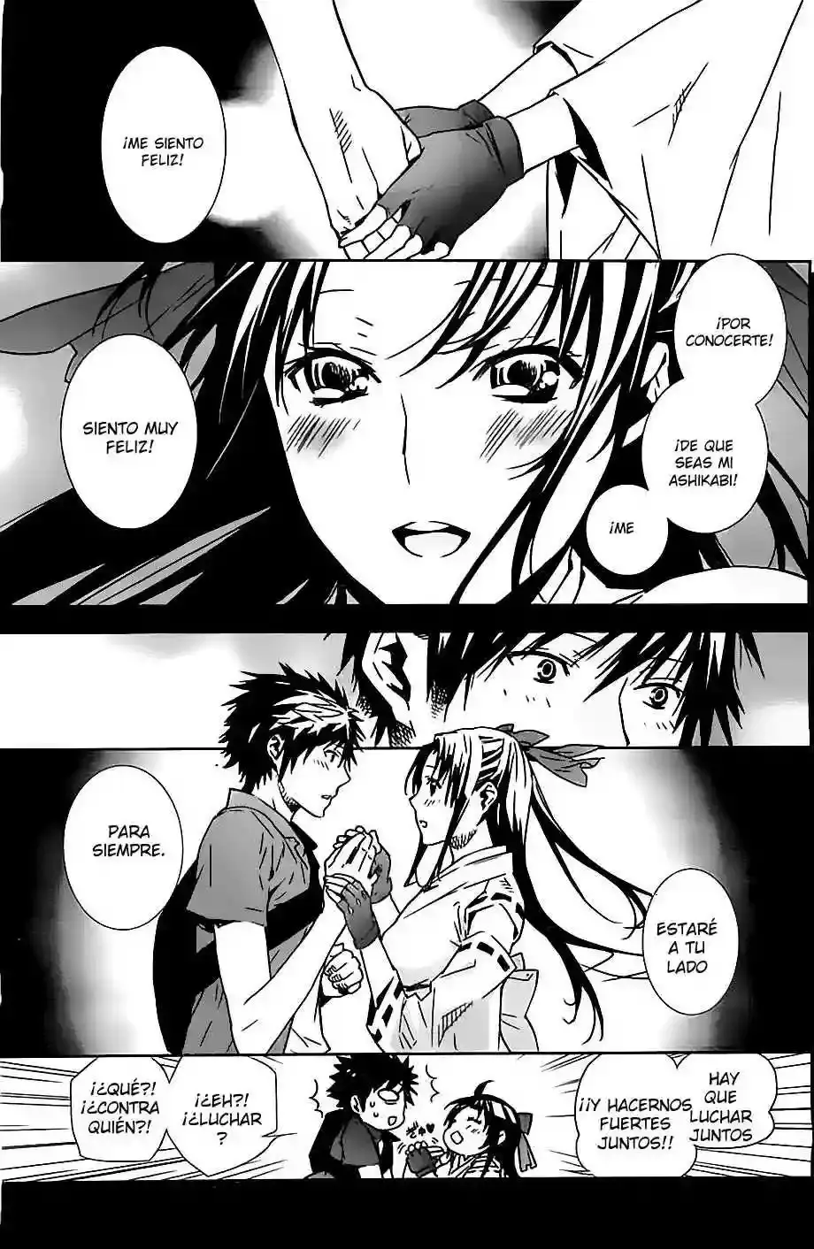 Sekirei capítulo 146, página 17