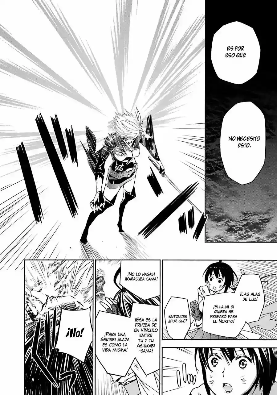 Sekirei capítulo 173, página 14