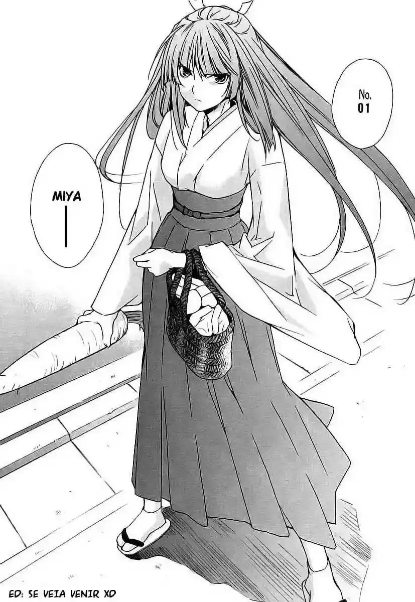 Sekirei capítulo 18, página 7