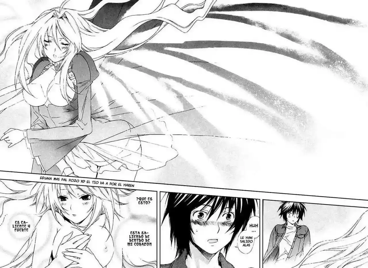 Sekirei capítulo 23, página 15