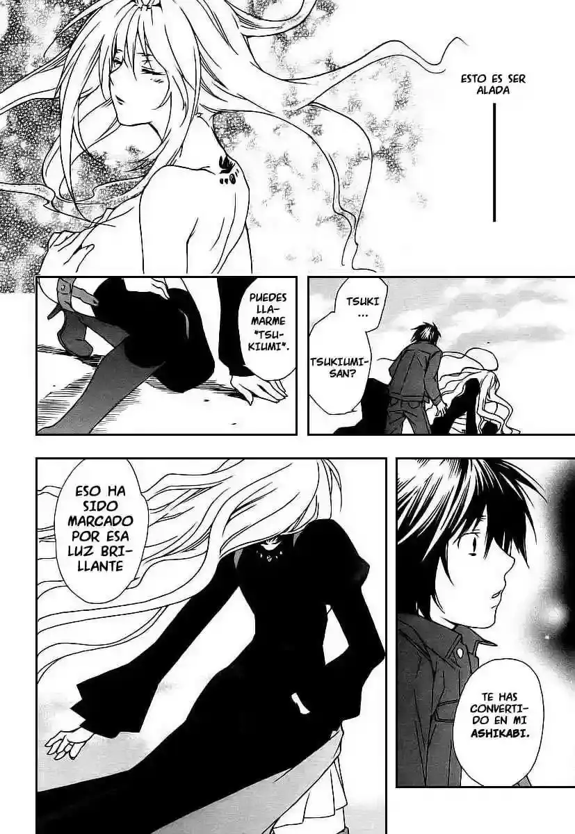 Sekirei capítulo 23, página 16