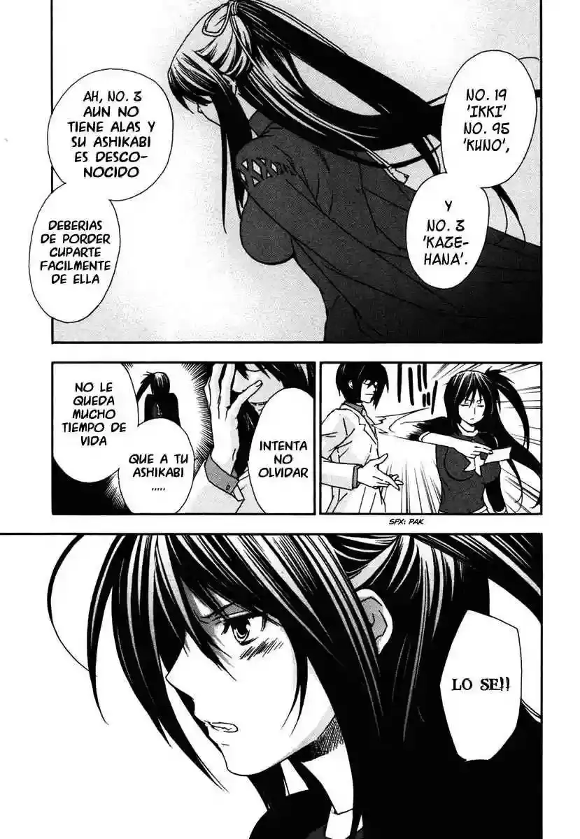 Sekirei capítulo 29, página 7