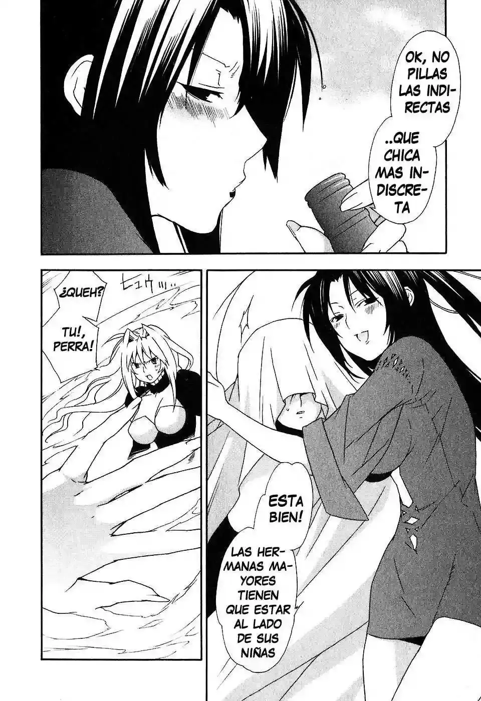 Sekirei capítulo 32, página 18