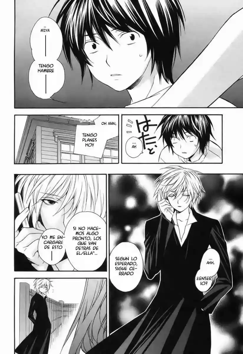 Sekirei capítulo 5, página 15