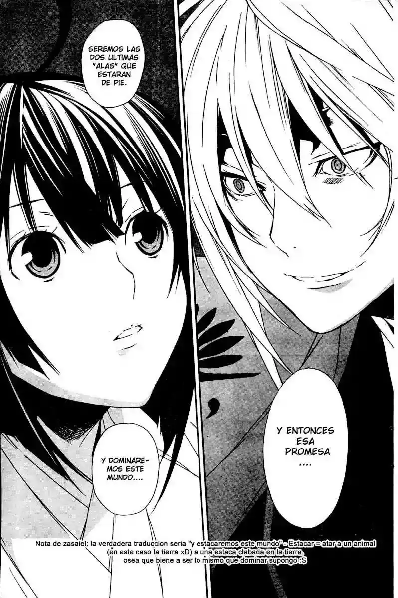 Sekirei capítulo 53, página 19