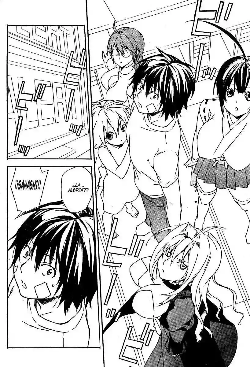 Sekirei capítulo 74, página 8