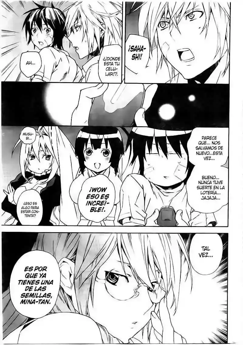 Sekirei capítulo 79, página 4