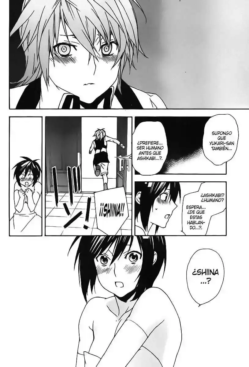 Sekirei capítulo 82, página 13