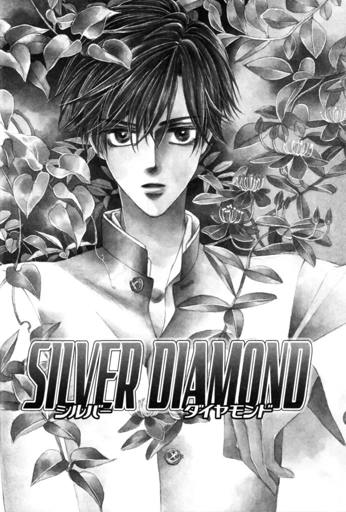 Silver Diamond capítulo 13, página 9