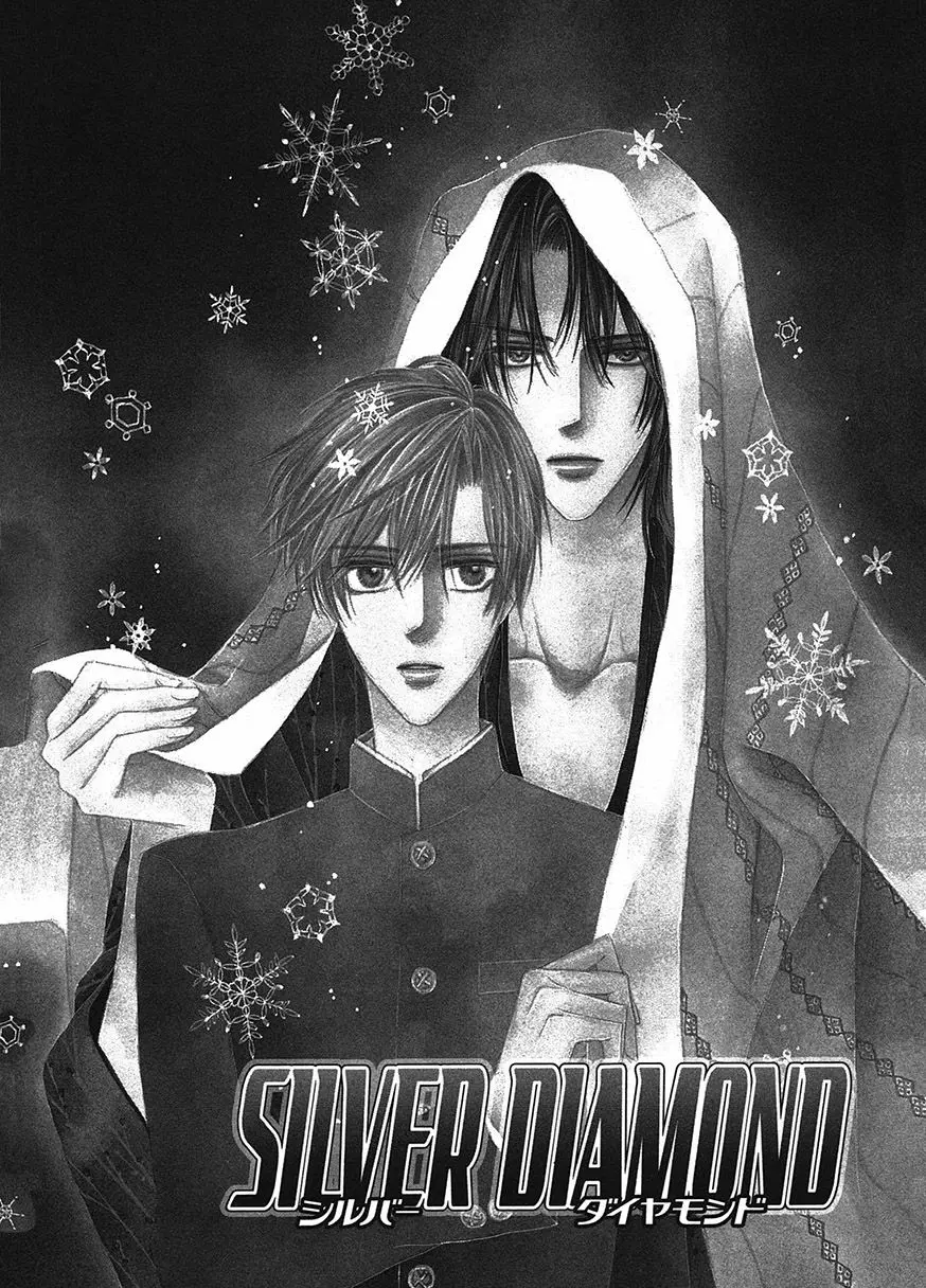 Silver Diamond capítulo 40, página 9