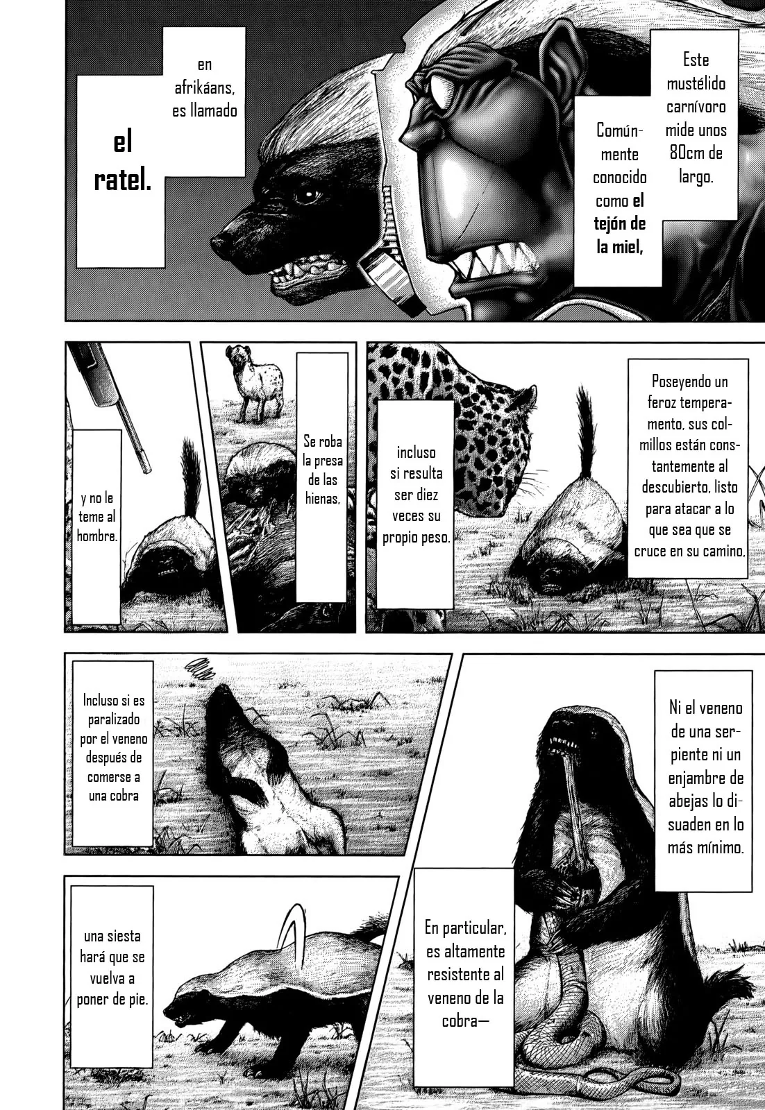 Terra Formars capítulo 104, página 14
