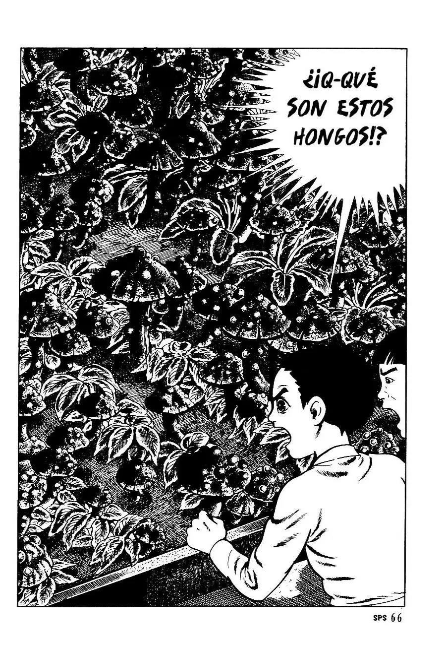 The Drifting Classroom capítulo 26, página 21