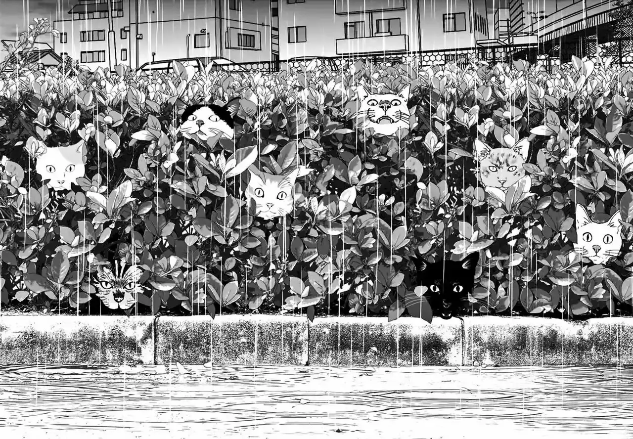 Wonderland capítulo 9, página 15