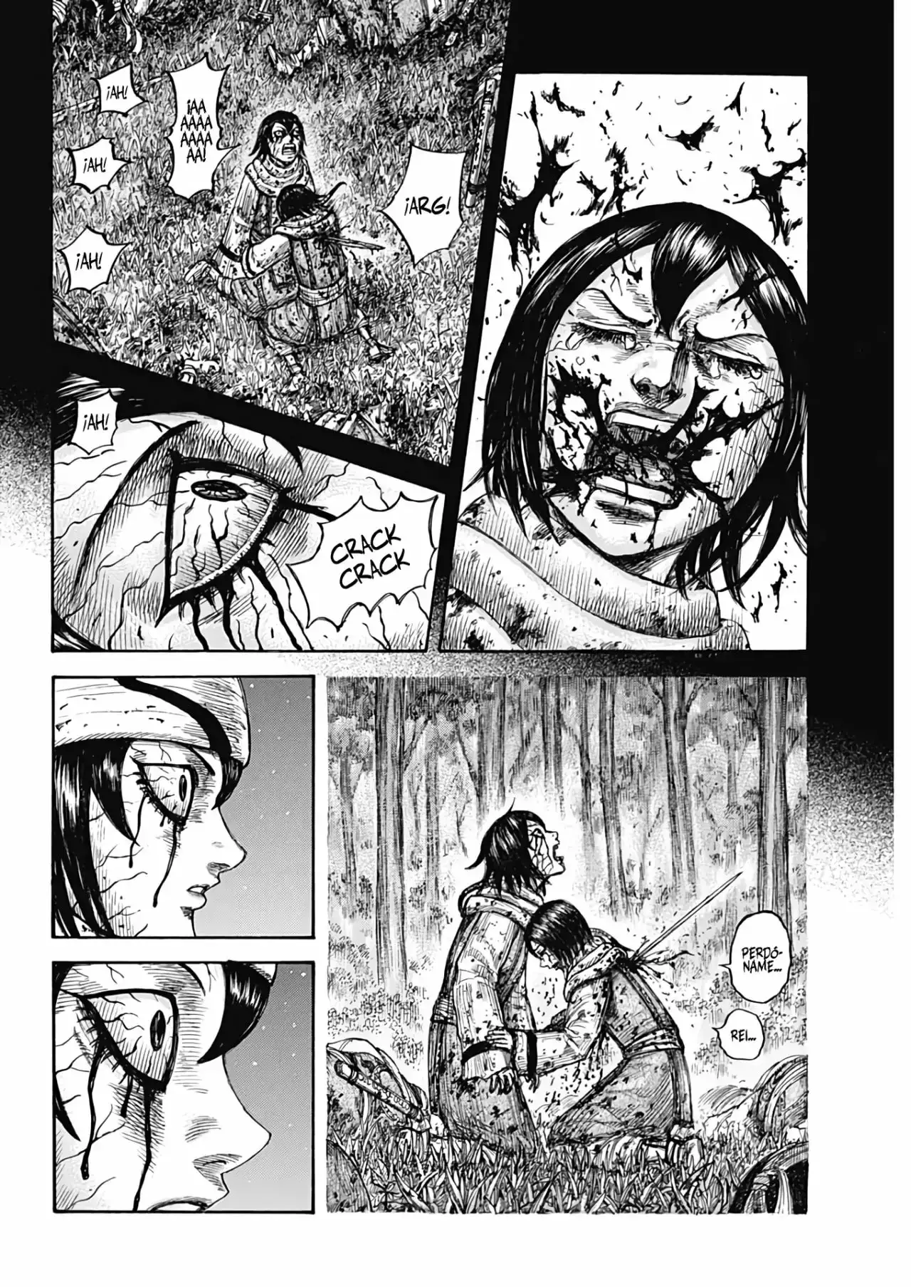 Kingdom capítulo 669, página 13