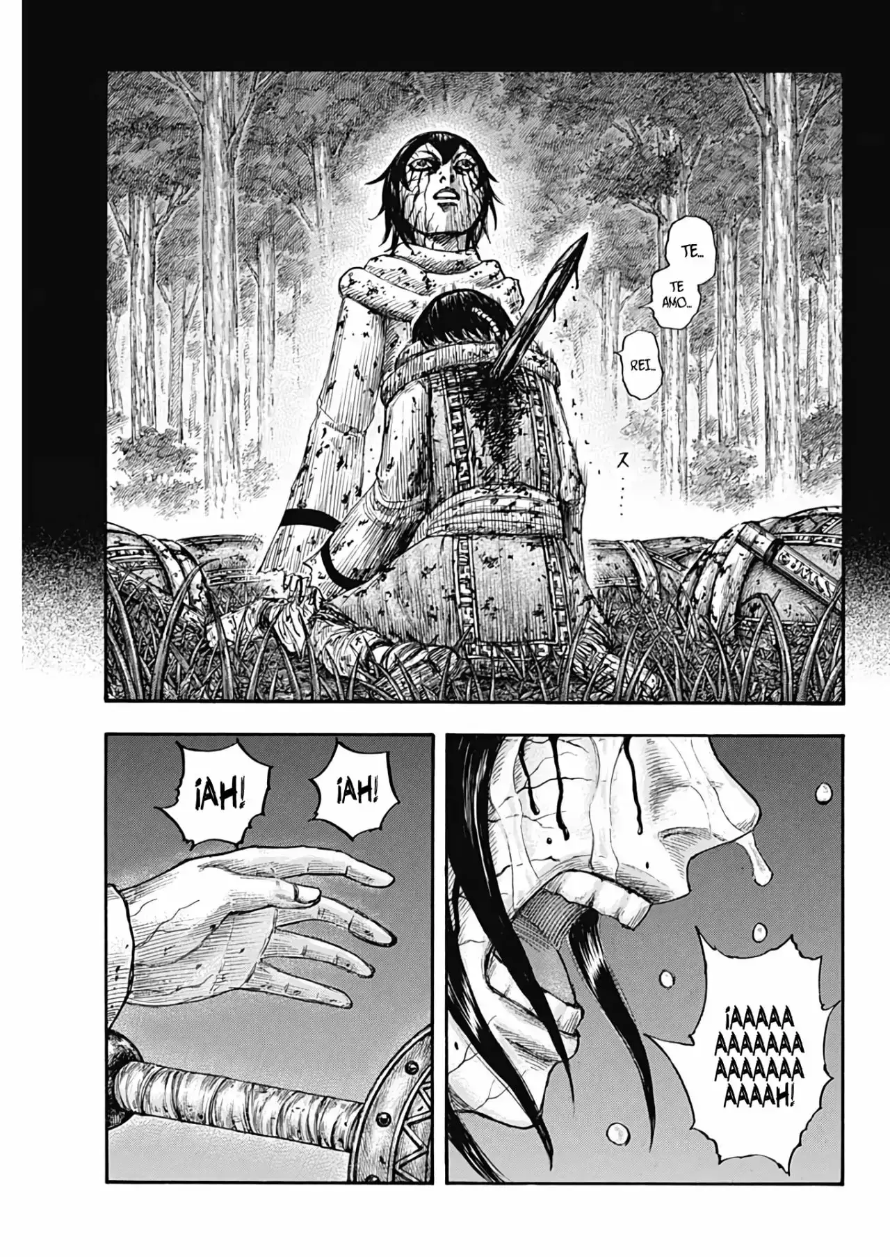 Kingdom capítulo 669, página 16