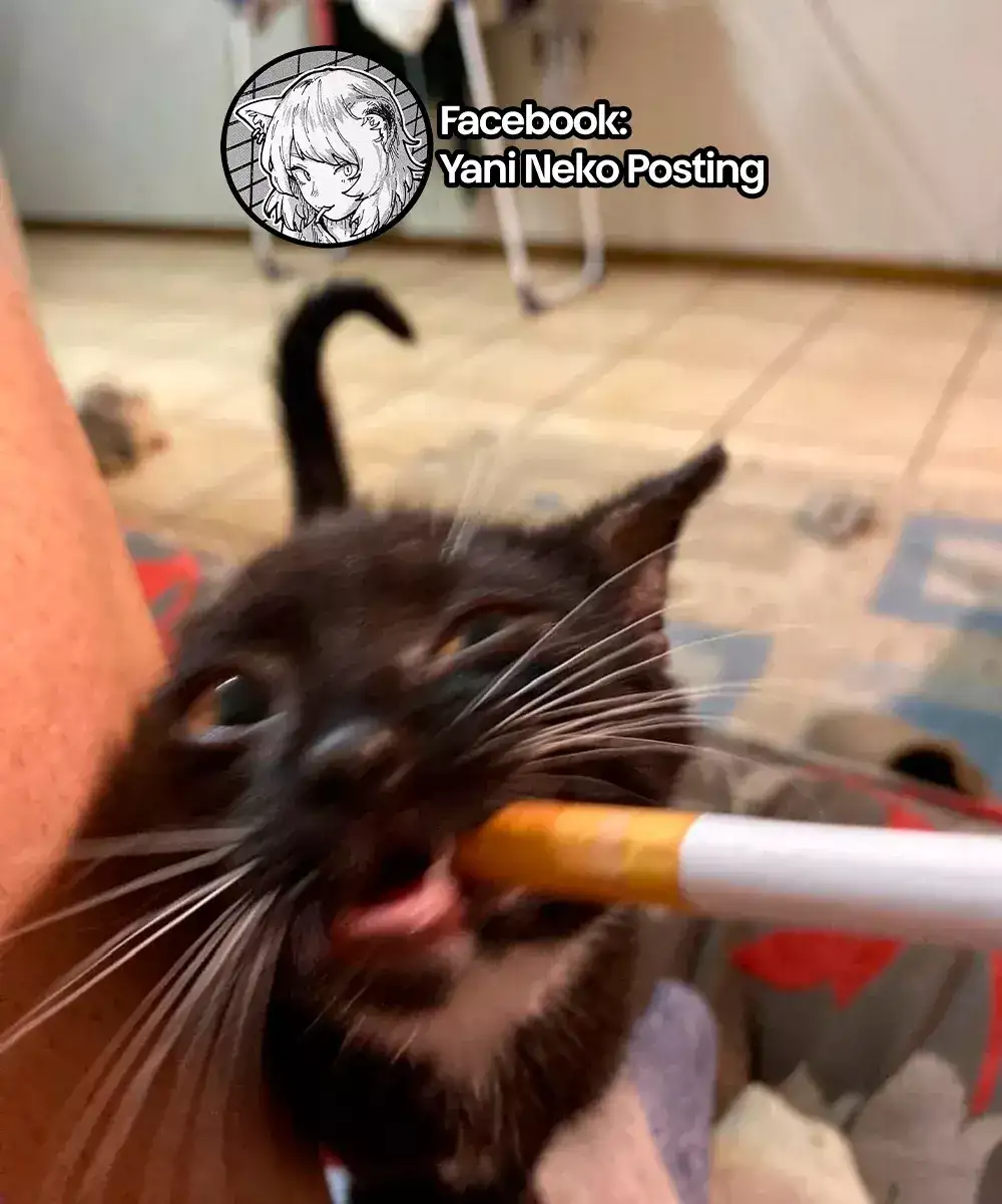 NICOTINEKO capítulo 10, página 7