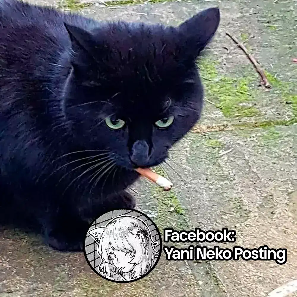 NICOTINEKO capítulo 11, página 5