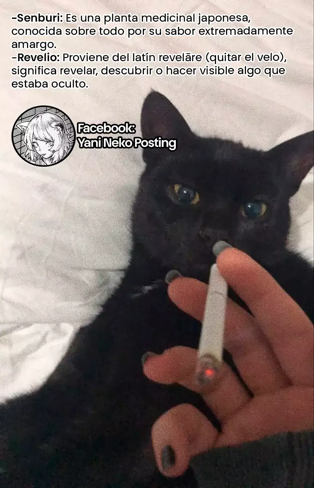 NICOTINEKO capítulo 15, página 5