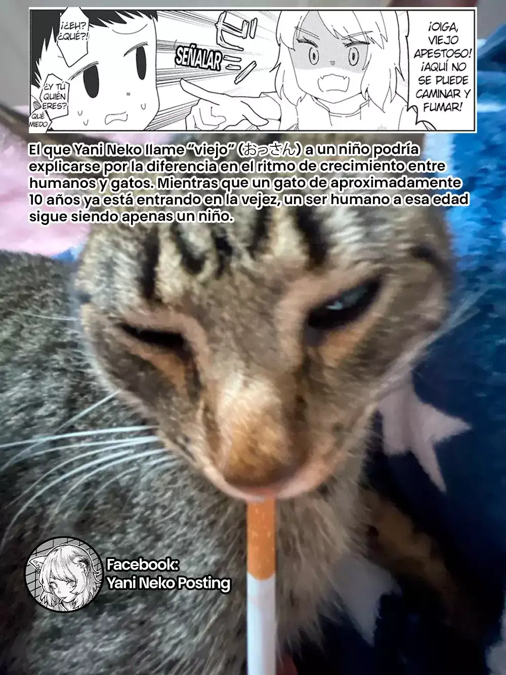 NICOTINEKO capítulo 18, página 5