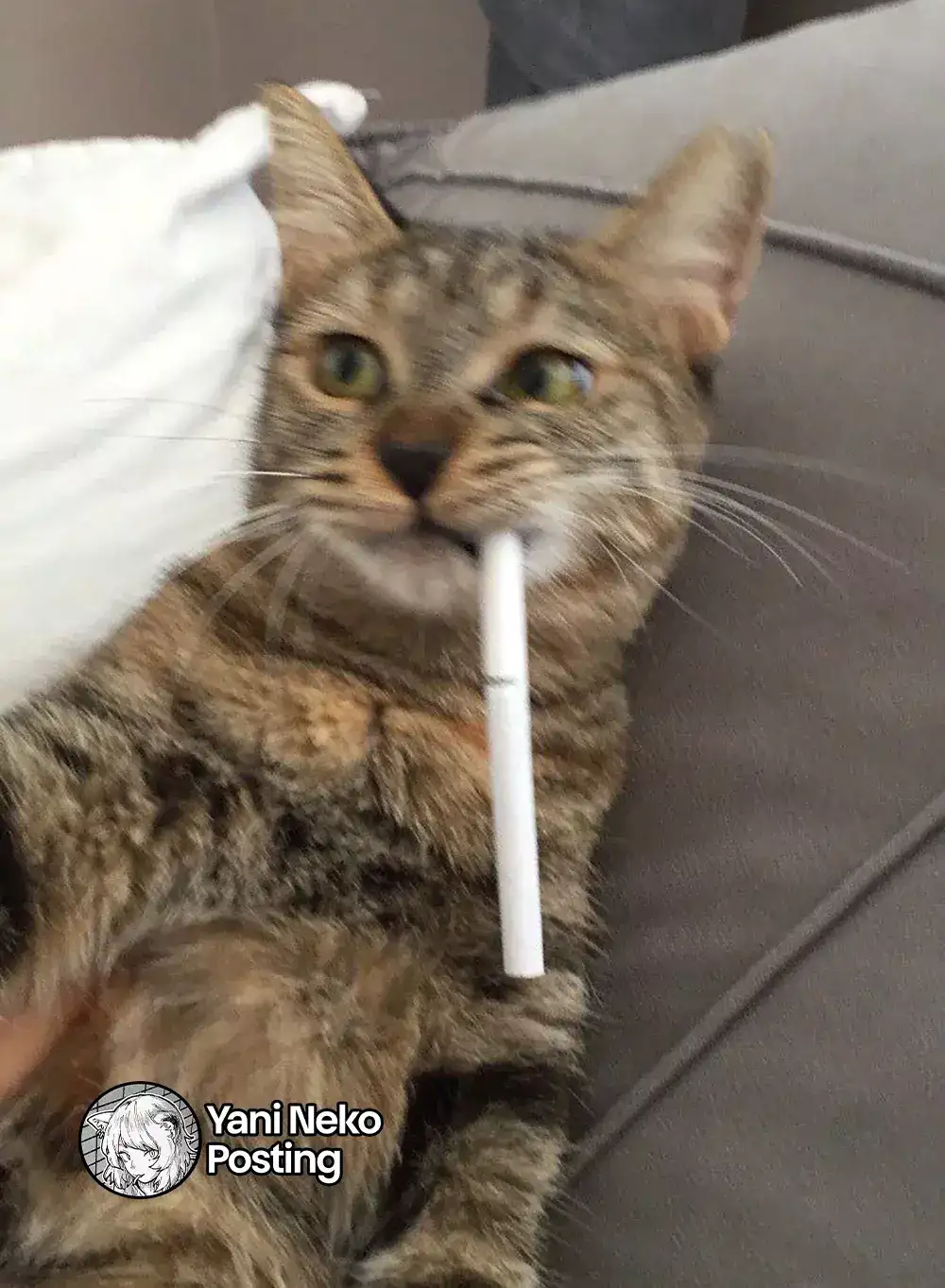 NICOTINEKO capítulo 21, página 6