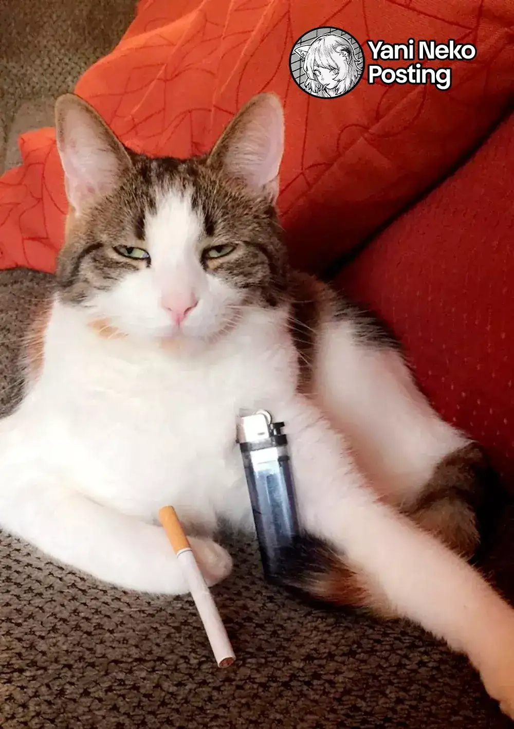 NICOTINEKO capítulo 22, página 5