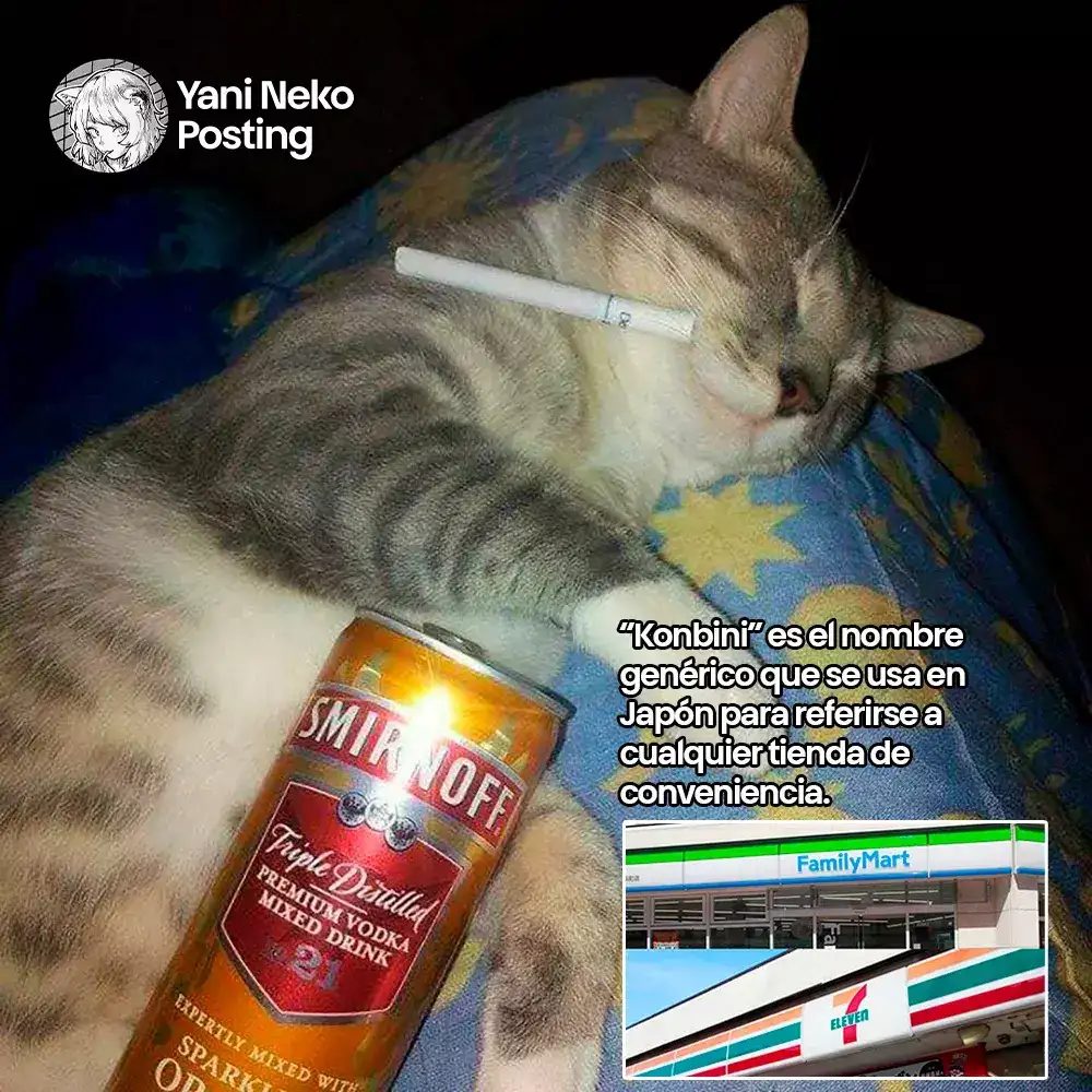 NICOTINEKO capítulo 24, página 5