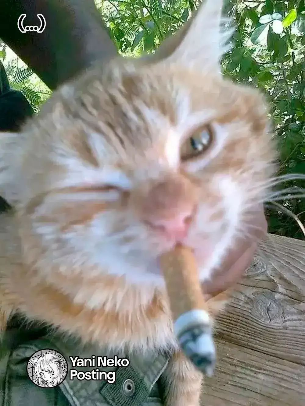 NICOTINEKO capítulo 25, página 5