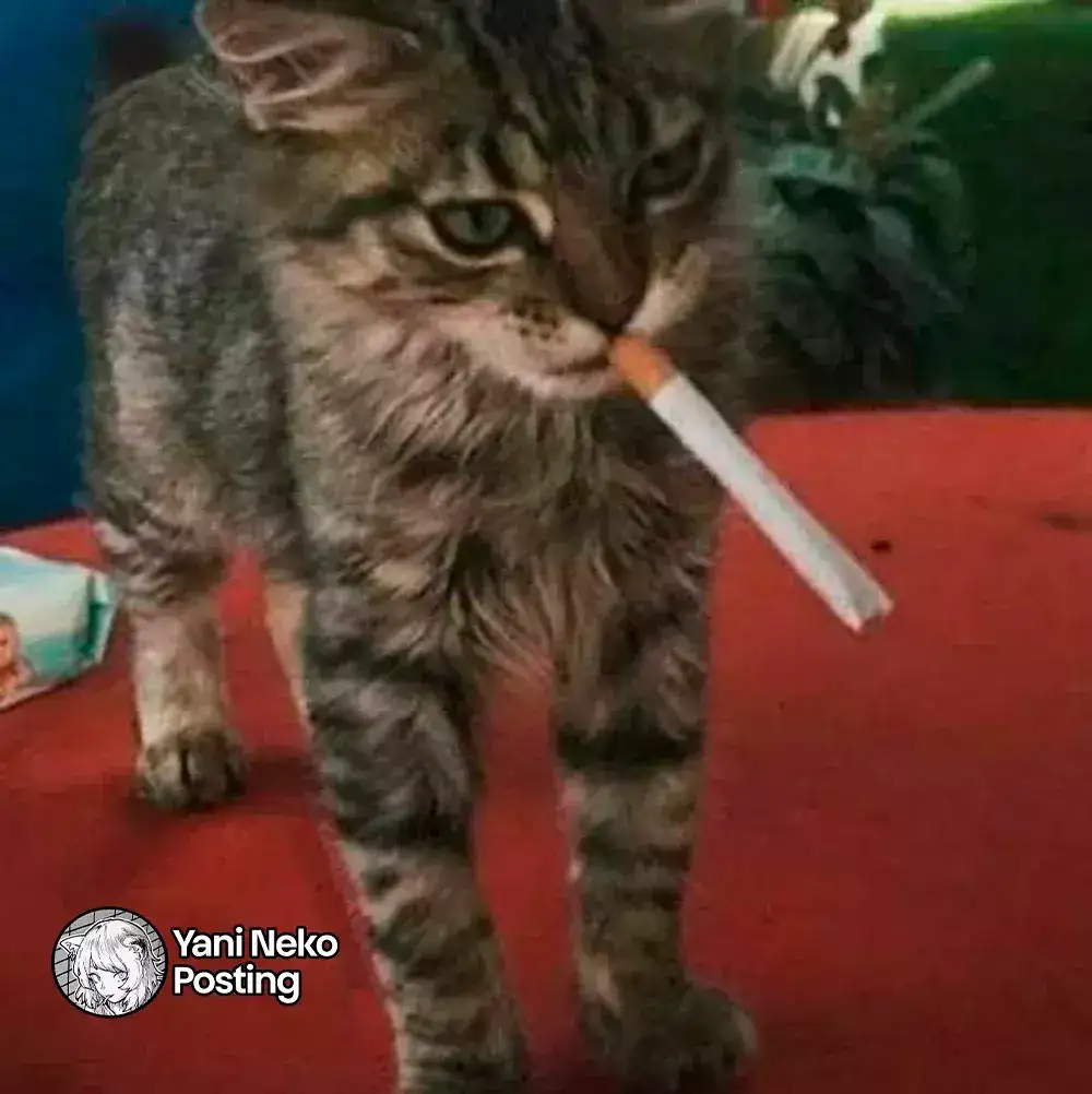 NICOTINEKO capítulo 26, página 7
