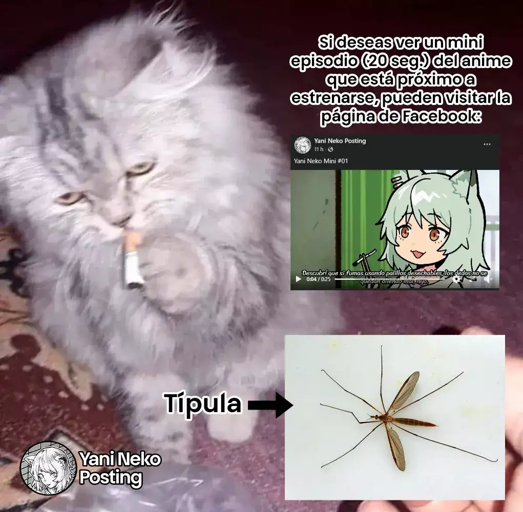 NICOTINEKO capítulo 27, página 7