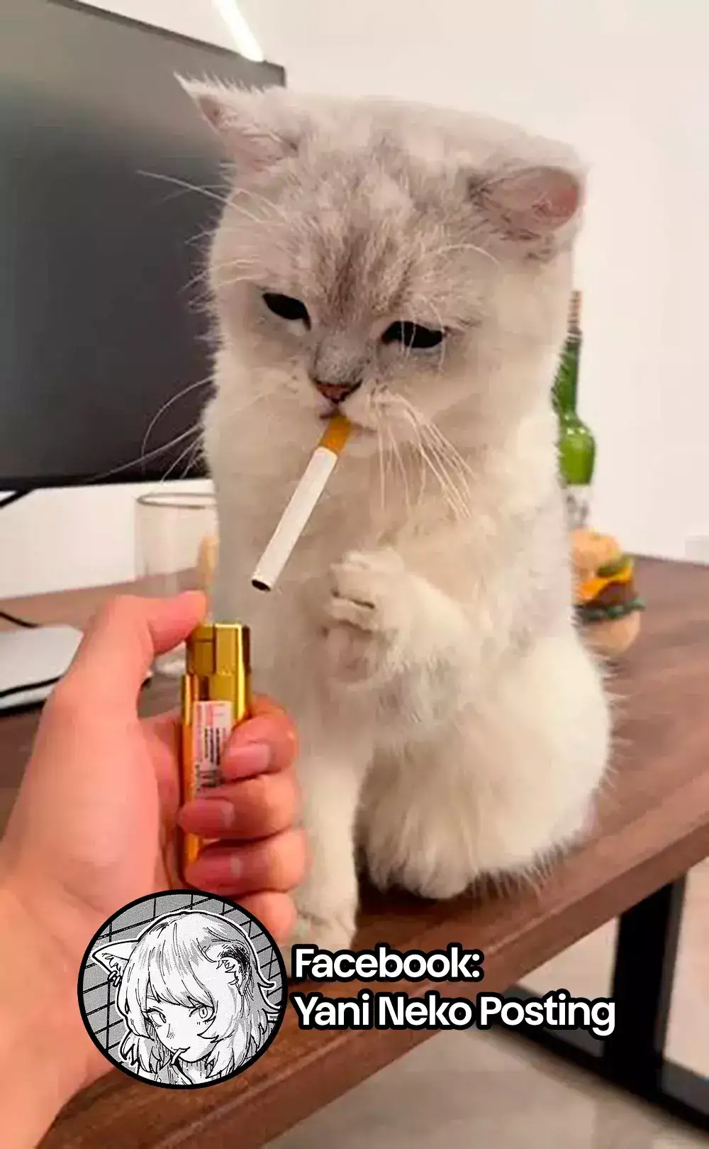 NICOTINEKO capítulo 3, página 15