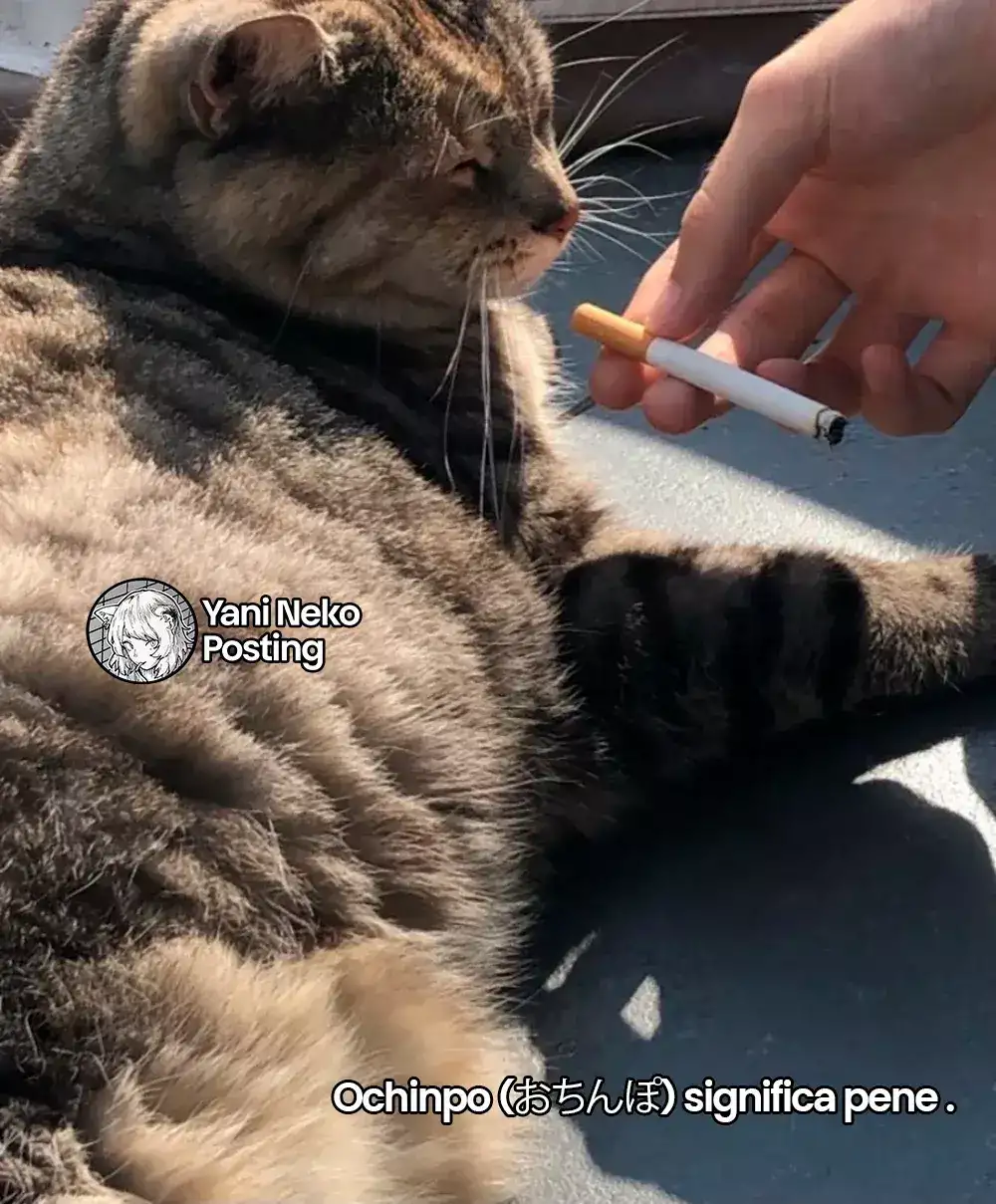 NICOTINEKO capítulo 31, página 5
