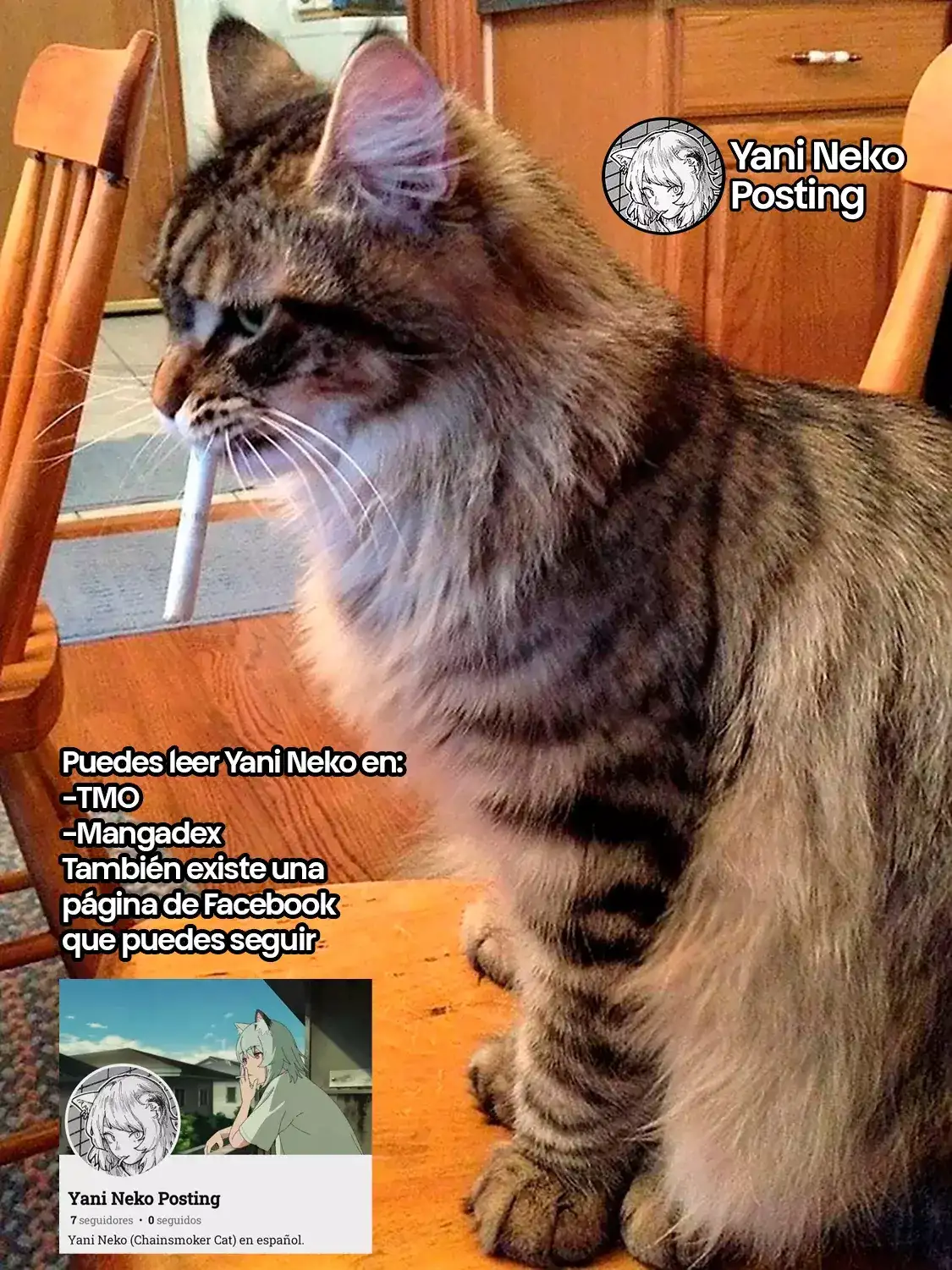 NICOTINEKO capítulo 32, página 5