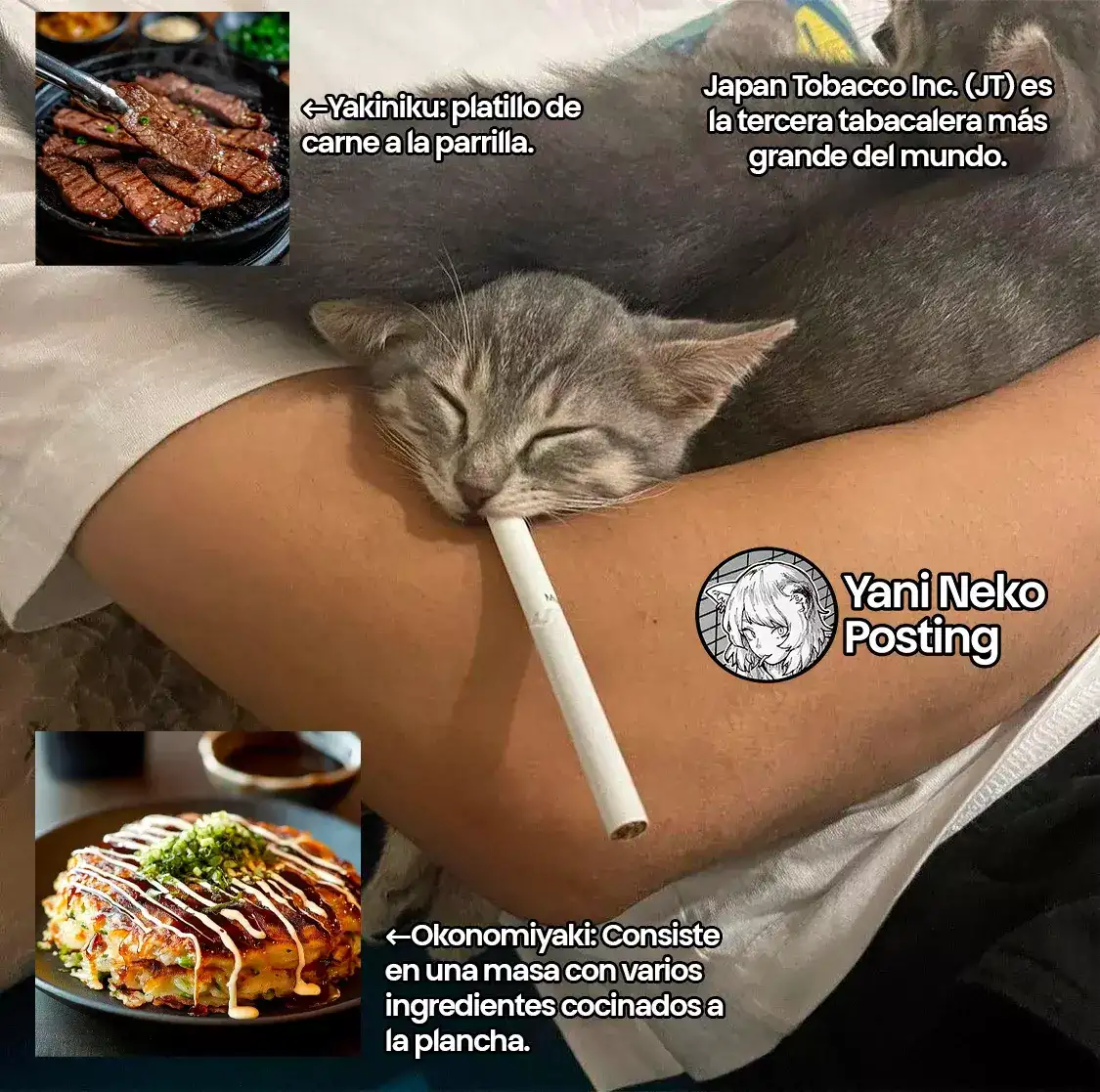 NICOTINEKO capítulo 33, página 5